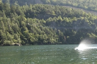 Idro Lases 2007-32