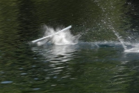 Idro Lases 2007-35