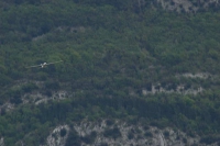 EuroCup Valle dei Laghi 08-64
