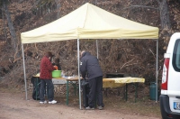 Manifestazioni 2010