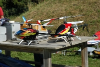 Elicotteri in Trentino 2013-11