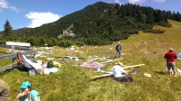 Manifestazioni 2014