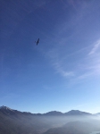 befana_GAT_2015_3
