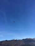 befana_GAT_2015_4