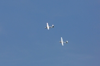 1016-margone-glider--⌐-2017-Fabio-Staropoli-fotofiore.com