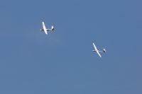 1017-margone-glider--⌐-2017-Fabio-Staropoli-fotofiore.com