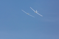 1038-margone-glider--⌐-2017-Fabio-Staropoli-fotofiore.com