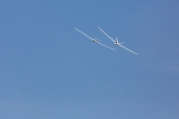 1039-margone-glider--⌐-2017-Fabio-Staropoli-fotofiore.com