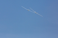 1040-margone-glider--®-2017-Fabio-Staropoli-fotofiore.com