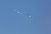 1042-margone-glider--®-2017-Fabio-Staropoli-fotofiore.com