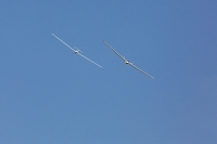 1043-margone-glider--®-2017-Fabio-Staropoli-fotofiore.com