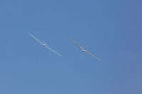 1044-margone-glider--®-2017-Fabio-Staropoli-fotofiore.com