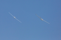 1045-margone-glider--®-2017-Fabio-Staropoli-fotofiore.com