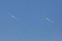 1046-margone-glider--®-2017-Fabio-Staropoli-fotofiore.com