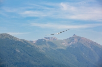 1076-margone-glider--®-2017-Fabio-Staropoli-fotofiore.com