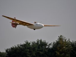 superabatross_9_20141018_1328673790