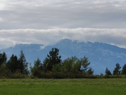 chiusura_2024_8