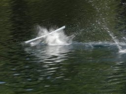 idro_lases_2007_35_20141018_1270164742