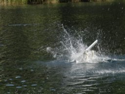 idro_lases_2007_36_20141018_2037262030