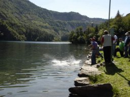 idro_lases_2007_42_20141018_1583740694