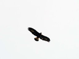 raduno_2009_margone_23_20141018_1828842900