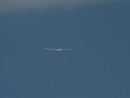 euromeeting_2010_39_20141016_1569224975