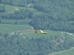 euromeeting_2010_45_20141016_1096775768
