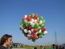 campionato_del_mondo_f3c_2011_36_20141016_1683187882