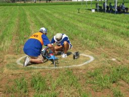 campionato_del_mondo_f3c_2011_66_20141016_1378878380