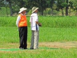 campionato_del_mondo_f3c_2011_75_20141016_1202492567