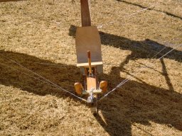 modelli_e_piloti_6_20141016_1343472385