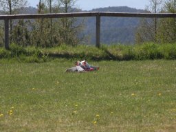 img_0075_resize_20150419_1607379100