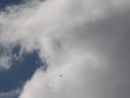 img_9981_resize_20150419_1130817956