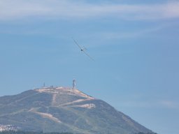 1000-margone-glider---2017-fabio-staropoli-fotofiorecom_20170811_1737515521