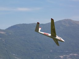 1010-margone-glider---2017-fabio-staropoli-fotofiorecom_20170811_1854074164