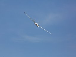 1031-margone-glider---2017-fabio-staropoli-fotofiorecom_20170811_1386791244