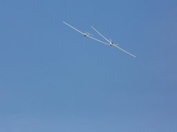1040-margone-glider---2017-fabio-staropoli-fotofiorecom_20170811_1392162397