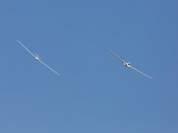 1045-margone-glider---2017-fabio-staropoli-fotofiorecom_20170811_1838307688