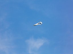 1074-margone-glider---2017-fabio-staropoli-fotofiorecom_20170811_1271231774