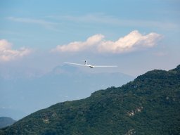 1082-margone-glider---2017-fabio-staropoli-fotofiorecom_20170811_1223767920