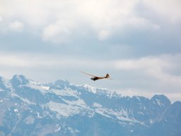 61_-2017-fabio-staropoli-fotofiorecom_20170407_1452012596