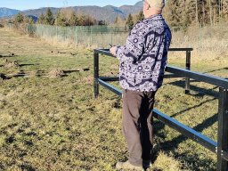 volo_befana_22_11_20230109_1332498564